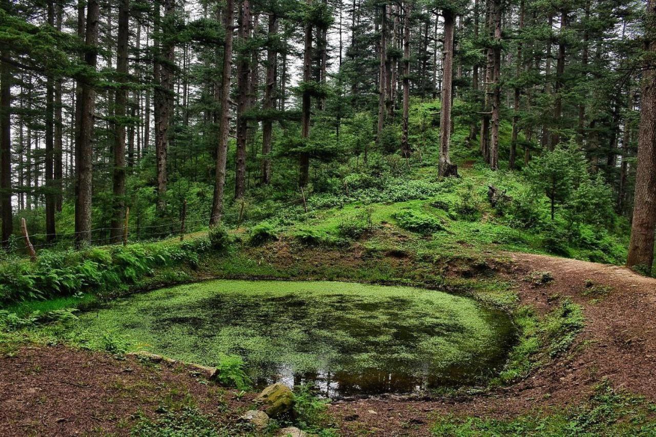 Ishan Log Huts-A Boutique Home Stay Banjār Kültér fotó